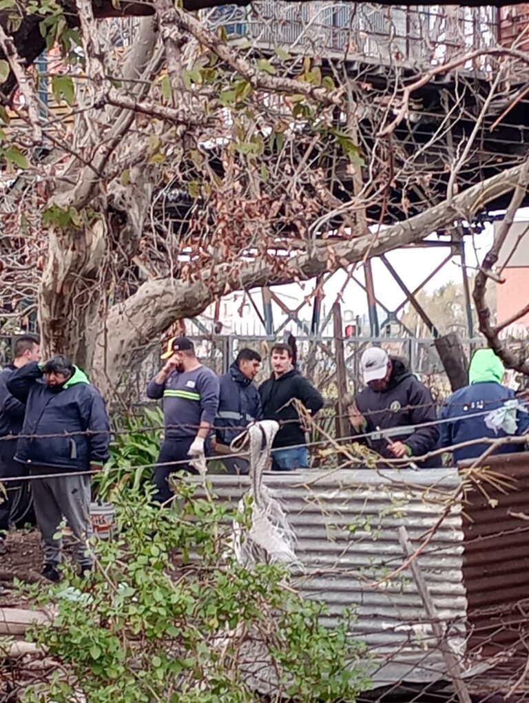 29642592-7716-464b-a035-6a00ceb203e1