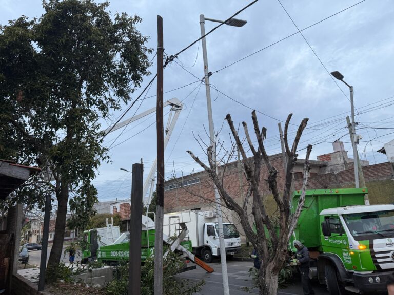 60c7f210-3b17-42ae-a102-f589744658f6